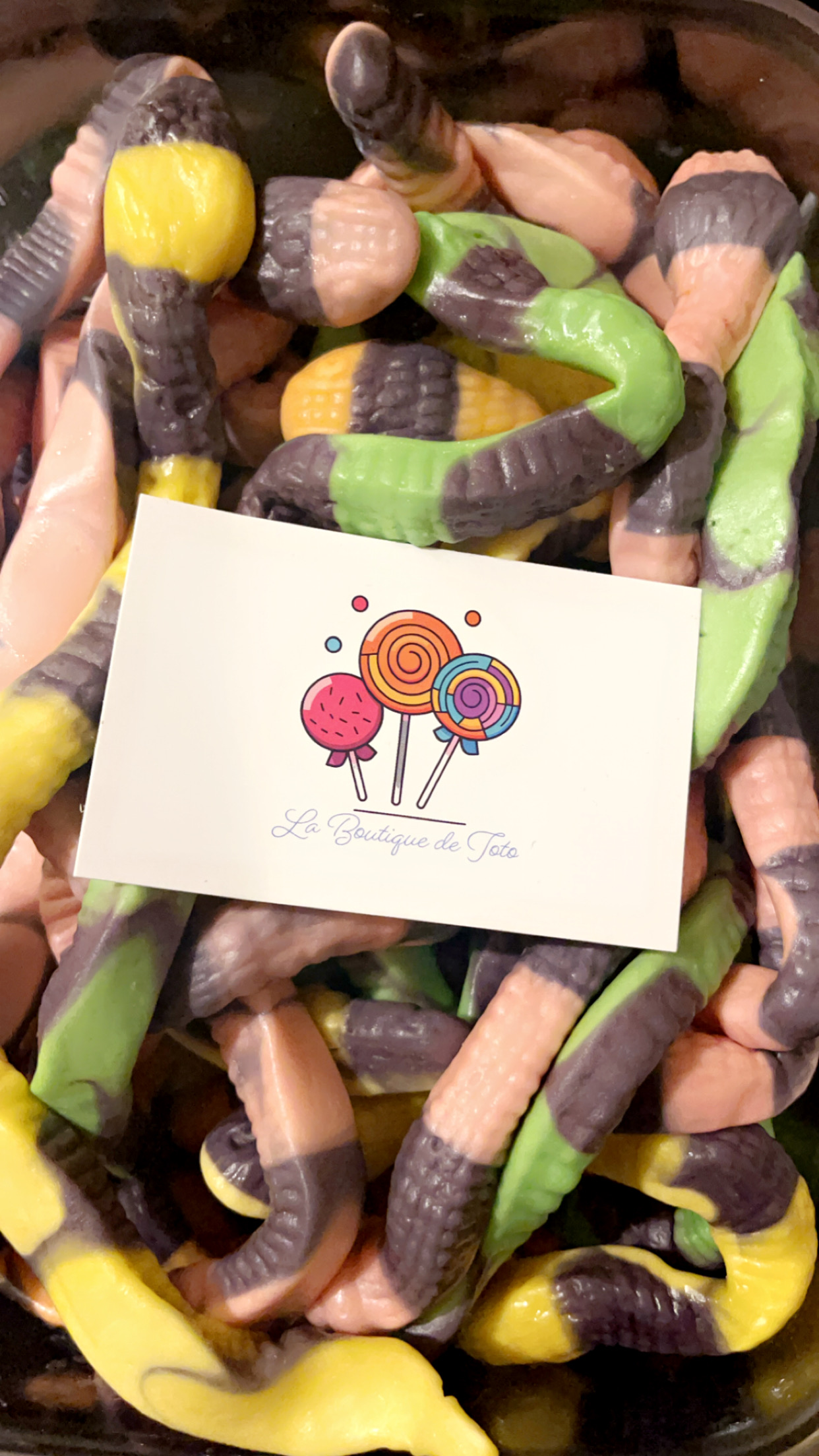 SERPENTS ANACONDA GEANT x1